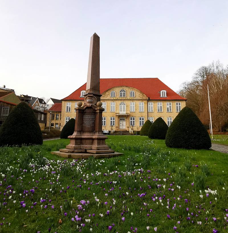 Krokusblüte im Park Schleswig